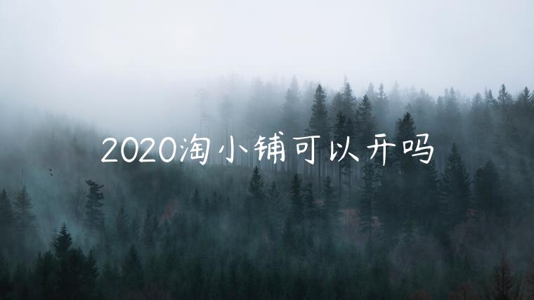 2020淘小鋪可以開嗎